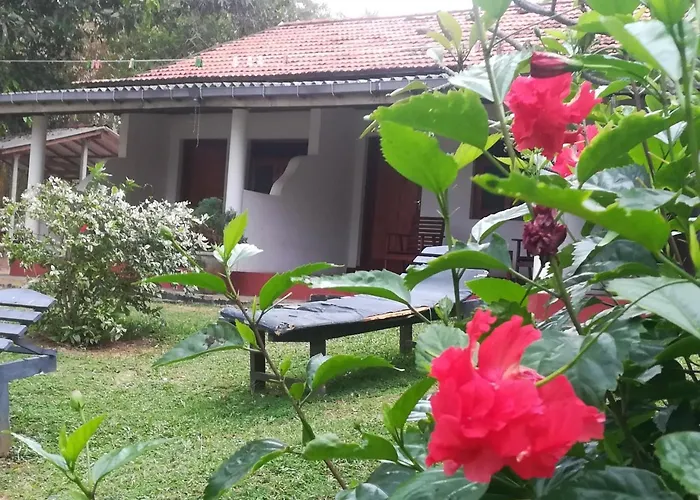 Star Beach Hotel