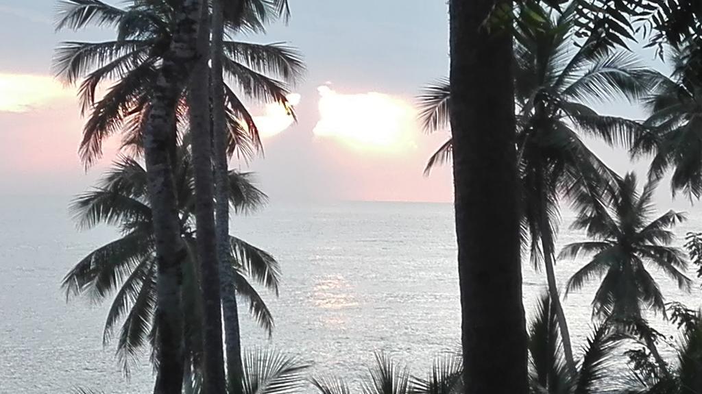 Star Tangalle