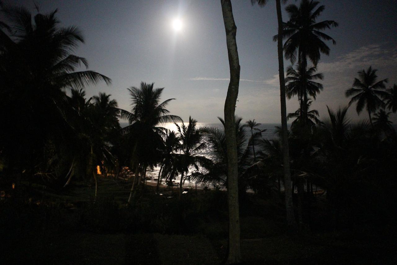 Star * Tangalle