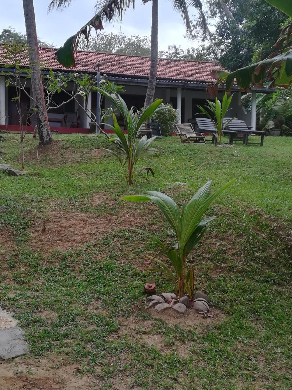 Guest house Star