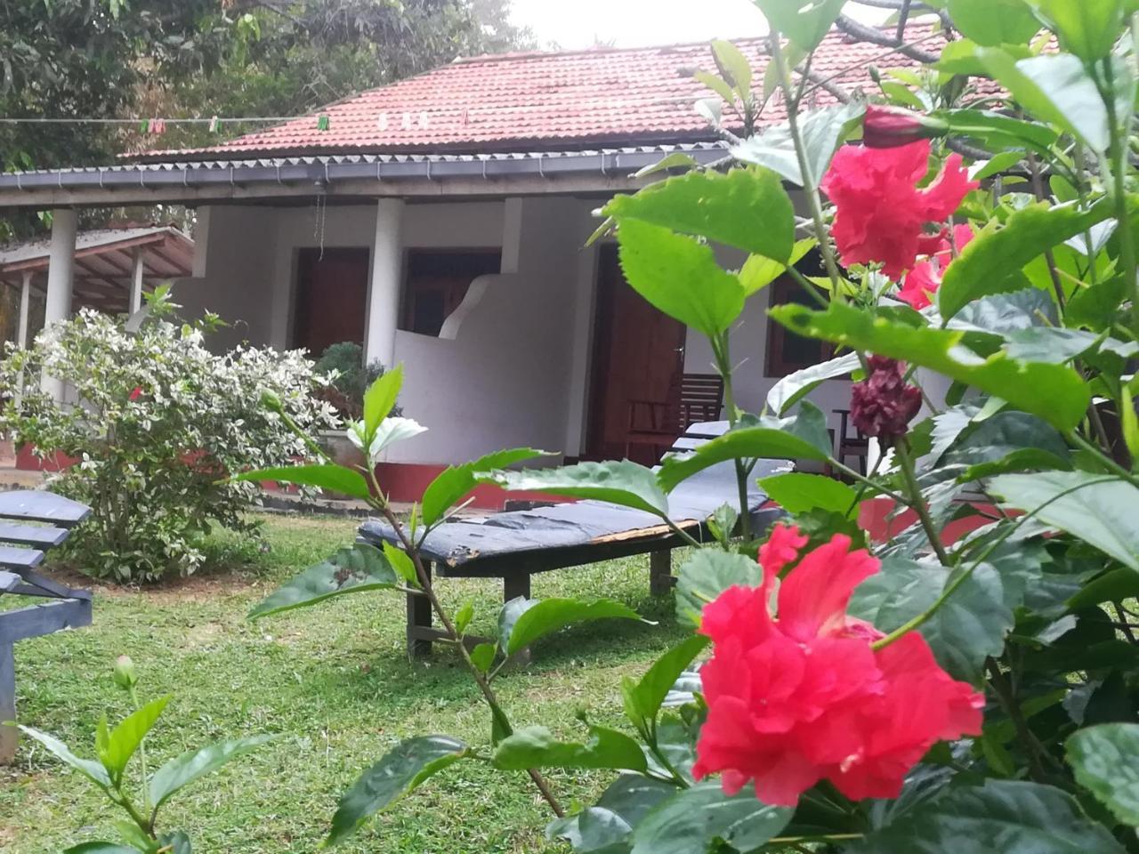 Guest house Star