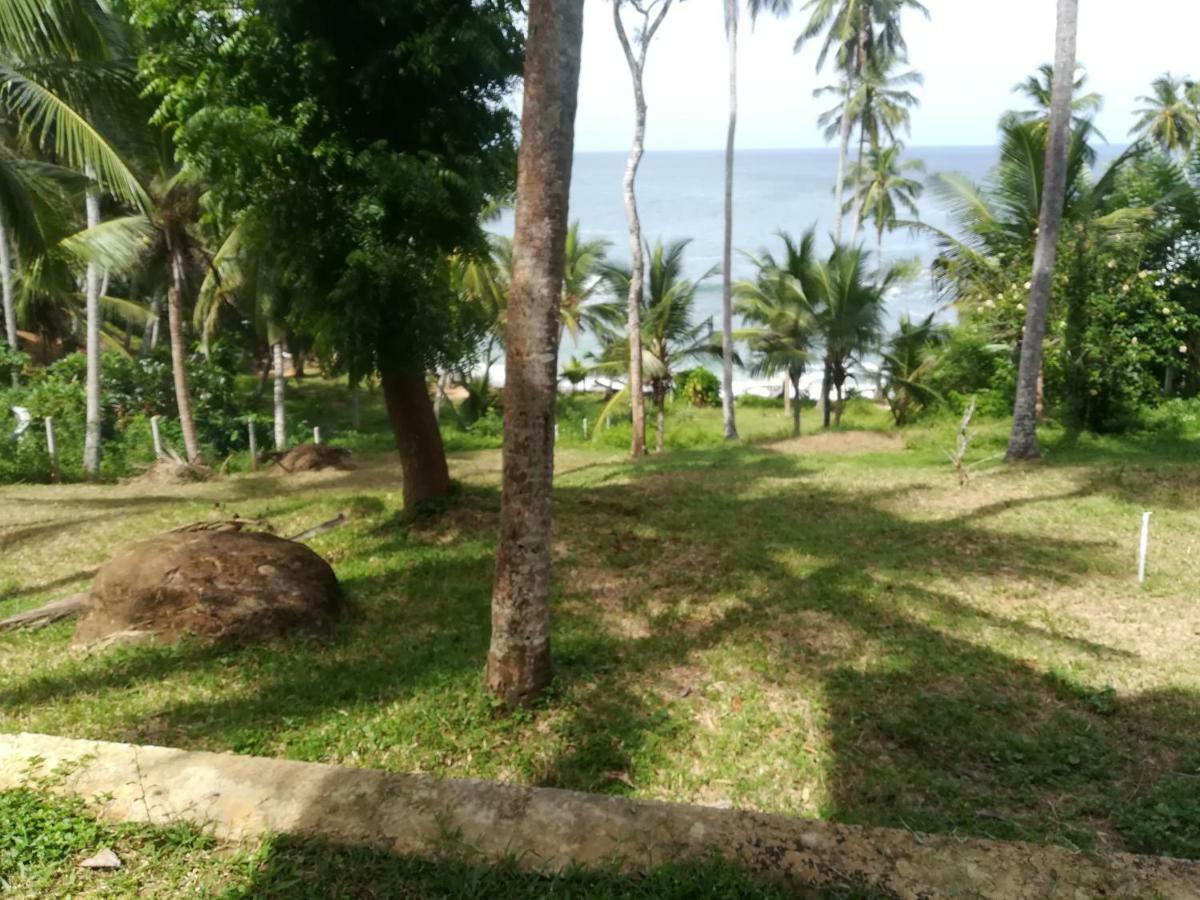 Star Tangalle